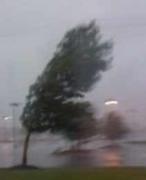 Counseling and Psychotherapy Services for the North Shore and Chicagoland